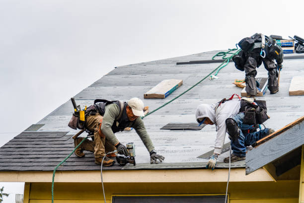 Professional Storm Damage Roof Repair technician working in Mathews, VA